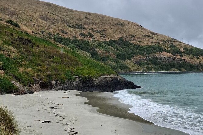Dunedin and Otago Peninsula Private Tours Up to 4 people - Larnach Castle and Gardens, with an extra admission fee