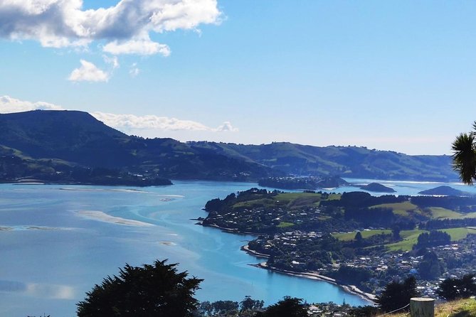 Dunedin City and Coastal Views 3-Hour Small-Group Guided Tour - Dunedin Railway Station is the architectural showpiece