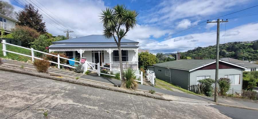 Dunedin City & Coastal Views 3-Hour Small-Group Tour - A fast introduction to Dunedin from Mount Cargill
