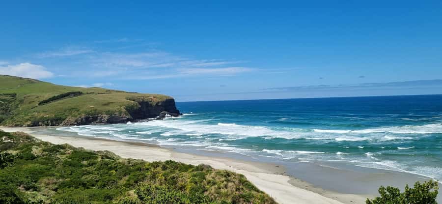 Dunedin City & Coastal Views 3-Hour Small-Group Tour - Why the three-hour minivan format works