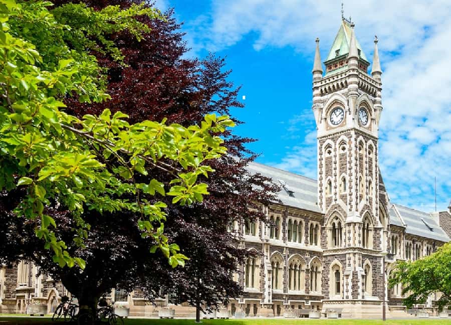 Dunedin City & Coastal Views 3-Hour Small-Group Tour - University of Otago and the city’s Scottish character