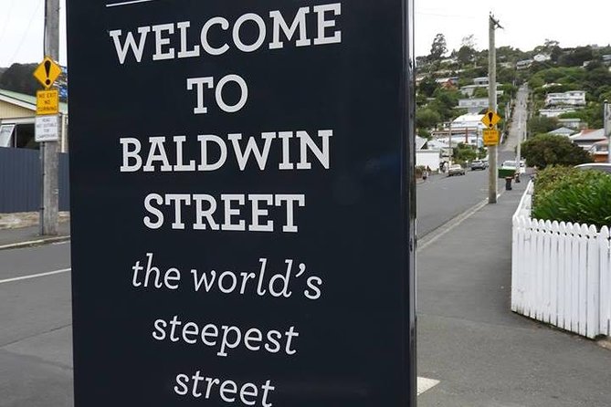 Dunedin City Highlights, Otago Peninsula Scenery & a Guided Penguin Reserve Tour - Key points to know before you book