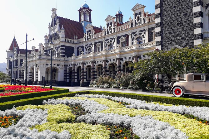 Dunedin City Highlights, Otago Peninsula Scenery & a Guided Penguin Reserve Tour - OPERA puts wildlife ahead of guaranteed photographs