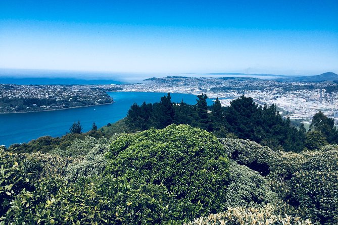 Dunedin City Highlights, Otago Peninsula Scenery & Albatross Guided Tour - Dunedin Botanic Garden and a quick look at local plant life