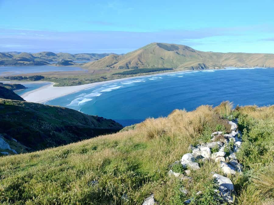 Dunedin City & Otago Peninsula Scenery Day Tour - Sandfly Bay brings the best chance for seals