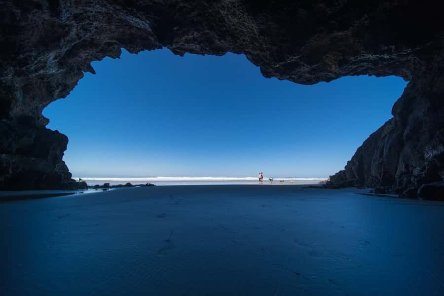 Dunedin City & Otago Peninsula Scenery Day Tour - Royal Albatross Centre is the wildlife finale