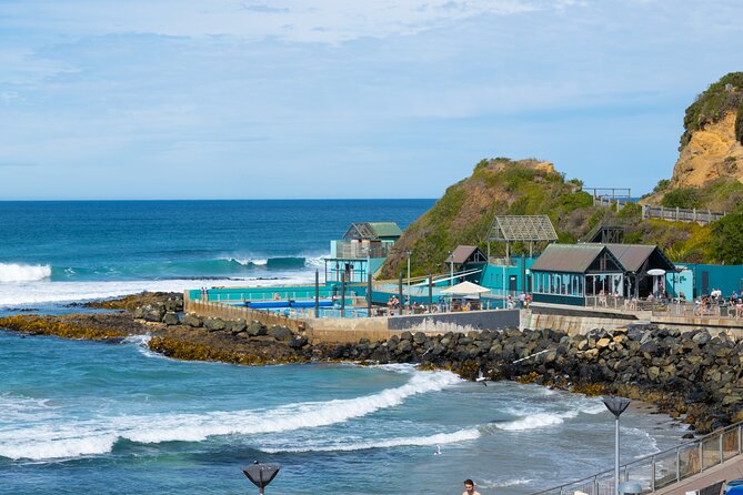 Dunedin City - Settlers & Voyages Tour - What the small mini bus changes