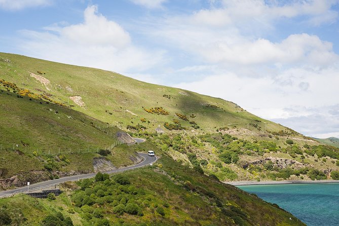 Dunedin City to Sea Wildlife Cruise + Peninsula Bus Tour - Who will enjoy this half-day tour?