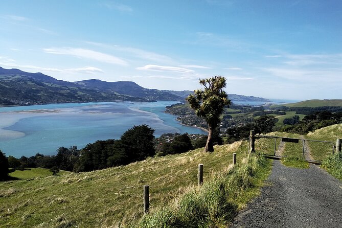 Dunedin City, Wildlife and Larnach Castle - Sandfly Bay and the open coast