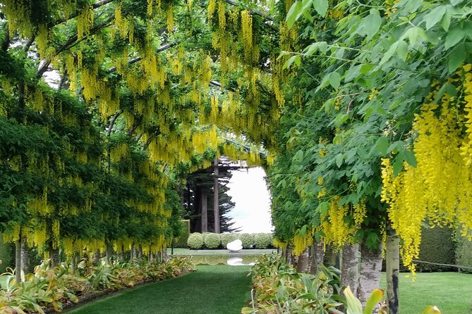 Dunedin City, Wildlife and Larnach Castle - Why the small group matters