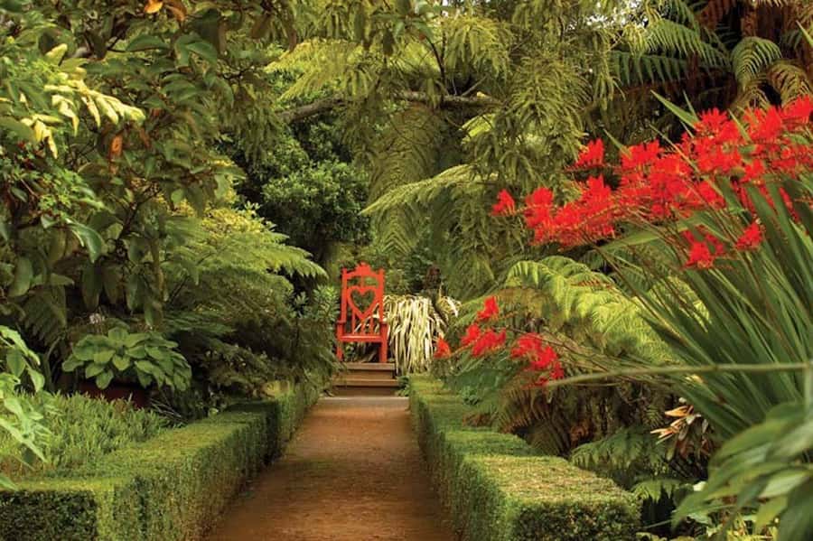 Dunedin: Larnach Castle & Gardens Admission Ticket - Reaching the Castle from Central Dunedin