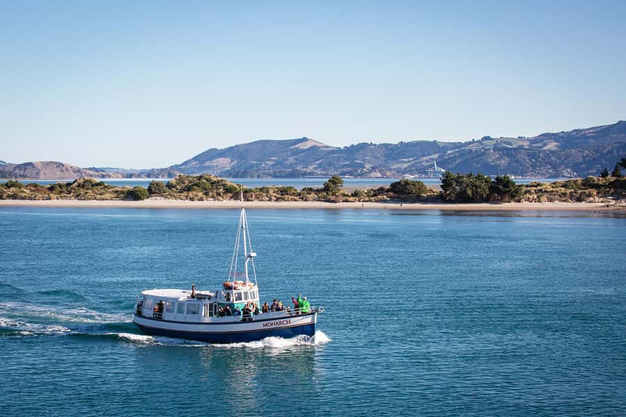 Dunedin: Monarch - One Hour Wildlife Cruise - Key points to know before you go