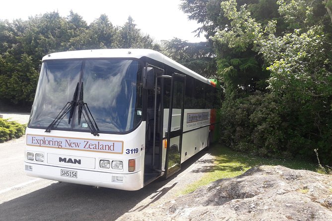 Dunedin Nature & City Tour – Full Day Cruise Excursion - A full Dunedin day from the Port Chalmers dock