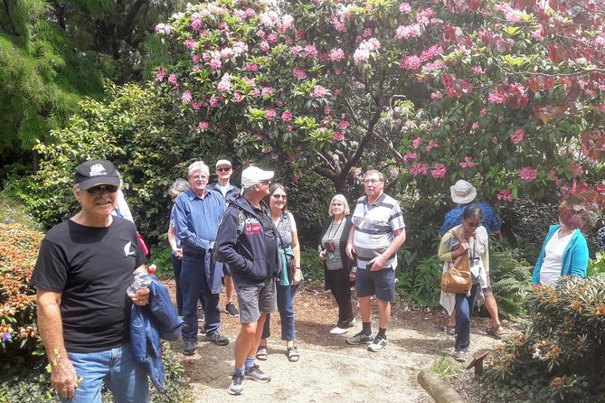 Dunedin Nature & City Tour – Full Day Cruise Excursion - St Clair and St Kilda bring the coast into the day