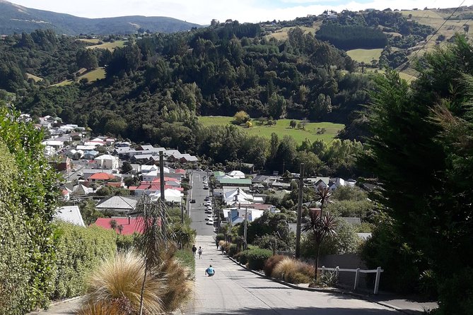Dunedin Nature & City Tour – Full Day Cruise Excursion - Sandfly Bay is the free alternative
