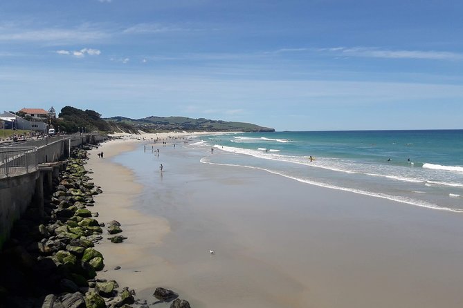 Dunedin Nature & City Tour – Full Day Cruise Excursion - Botanic Garden walks and a weather backup