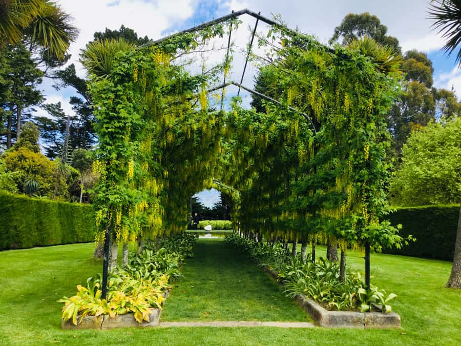 Dunedin: Peninsula with Lanarch Castle gardens & Olveston - Northern Cemetery and Dunedin’s early story