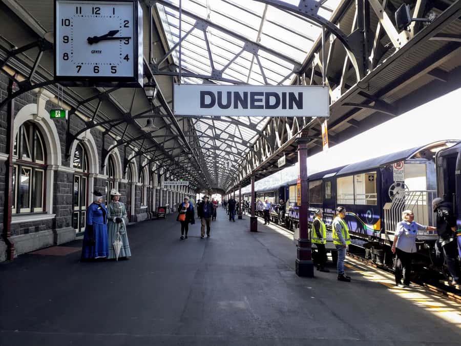 Dunedin: Peninsula with Lanarch Castle gardens & Olveston - Highcliff Road and the Otago Peninsula
