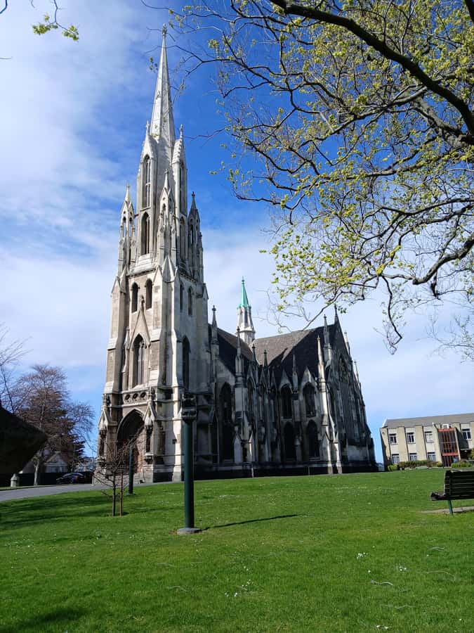 Dunedin: Peninsula with Lanarch Castle gardens & Olveston - Larnach Castle Gardens and the extra castle decision