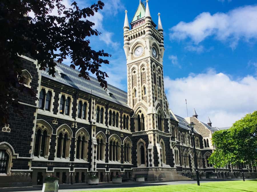 Dunedin: Peninsula with Lanarch Castle gardens & Olveston - Timing, flexibility, and the return to port