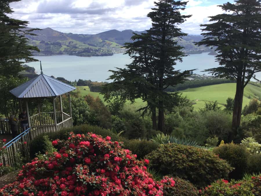 Dunedin: Peninsula with Lanarch Castle gardens & Olveston - Baldwin Street and the first city views