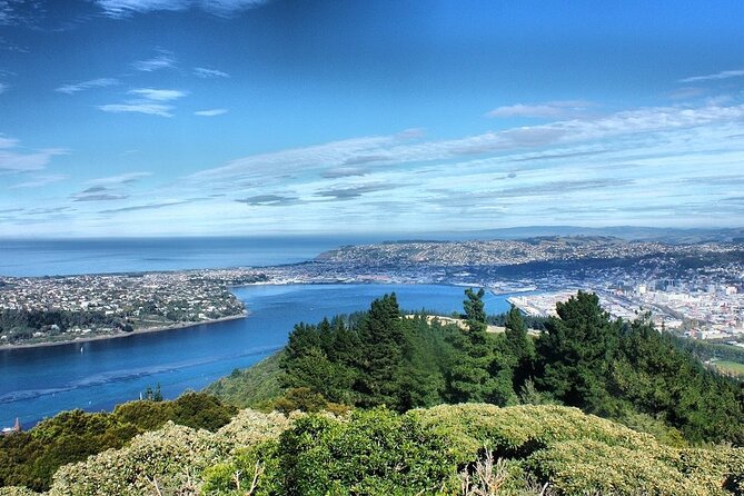 Dunedin Private Fullday Tour - Is $434.40 per person good value?