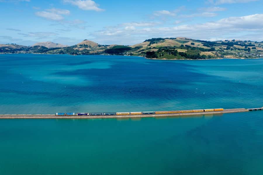 Dunedin: Scenic Railway Tour of Otago's Coastline - Key points to know before boarding