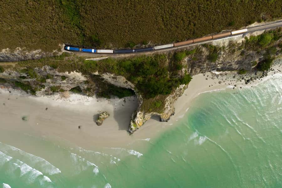 Dunedin: Scenic Railway Tour of Otago's Coastline - Why The Seasider works so well from Dunedin