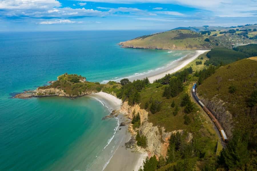Dunedin: Scenic Railway Tour of Otago's Coastline - Arc Brewery or the full trip to Merton