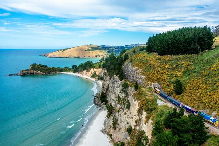 Dunedin: Scenic Railway Tour of Otago's Coastline - What the onboard commentary adds
