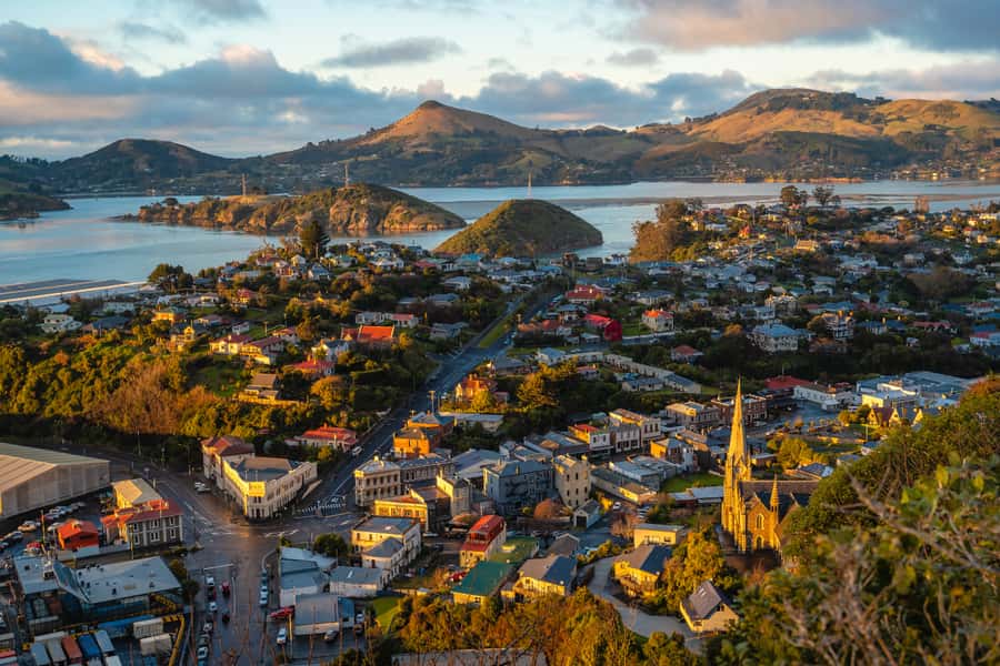 Dunedin: Scenic Railway Tour of Otago's Coastline - Is $77 a fair price?