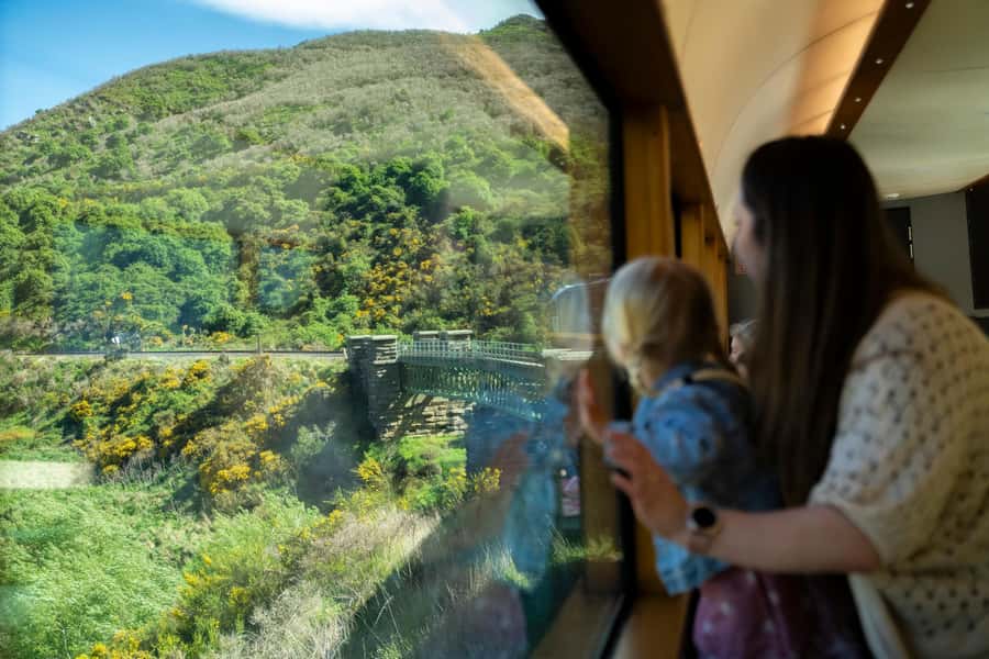 Dunedin: Scenic Railway Tour Through the Taieri Gorge - Comfort, clothing, and accessibility