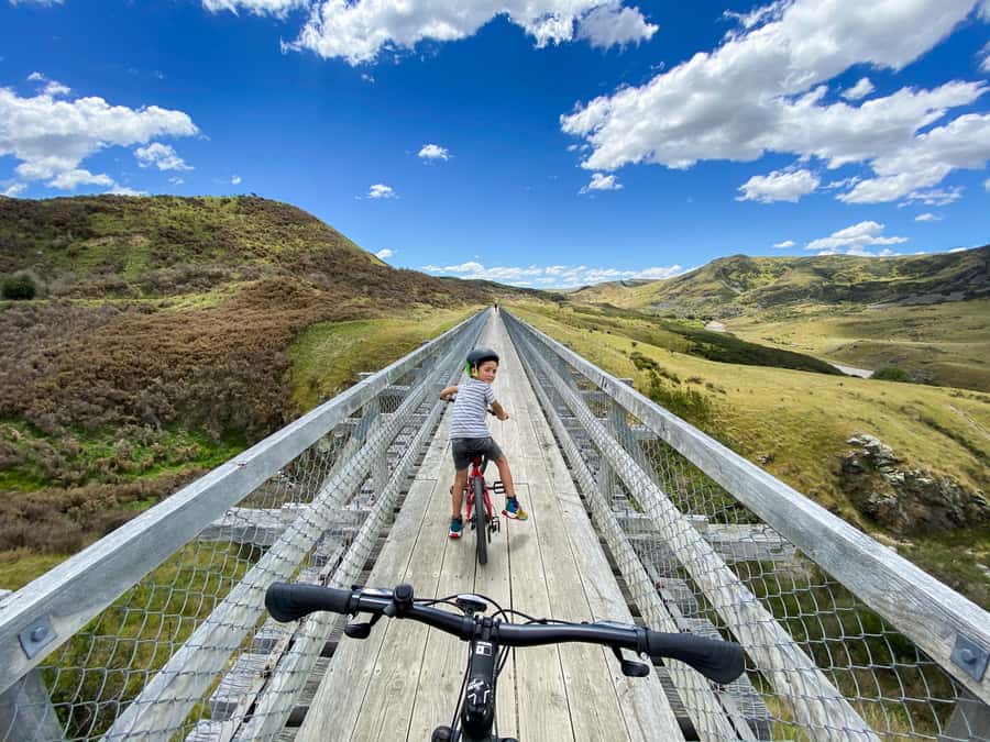 Dunedin: Scenic Railway Tour Through the Taieri Gorge - Following the Taieri River into the gorge