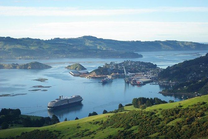 Dunedin Shore Excursion - Sightseeing, Larnach Castle, Chinese Garden & Museum - A note about operator names and meeting instructions