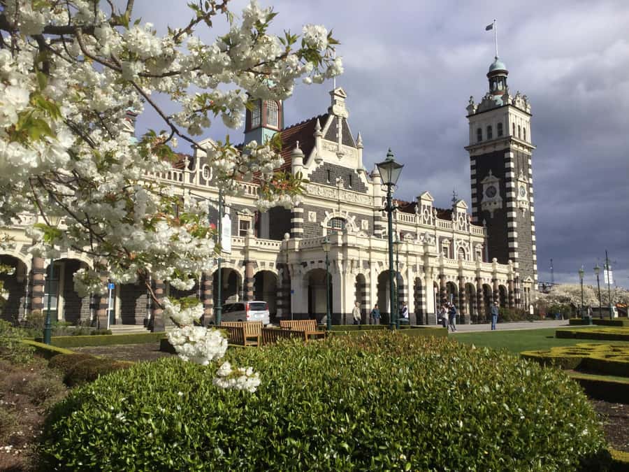 Dunedin: Small Group City Highlights Tour - A quick way to meet Dunedin