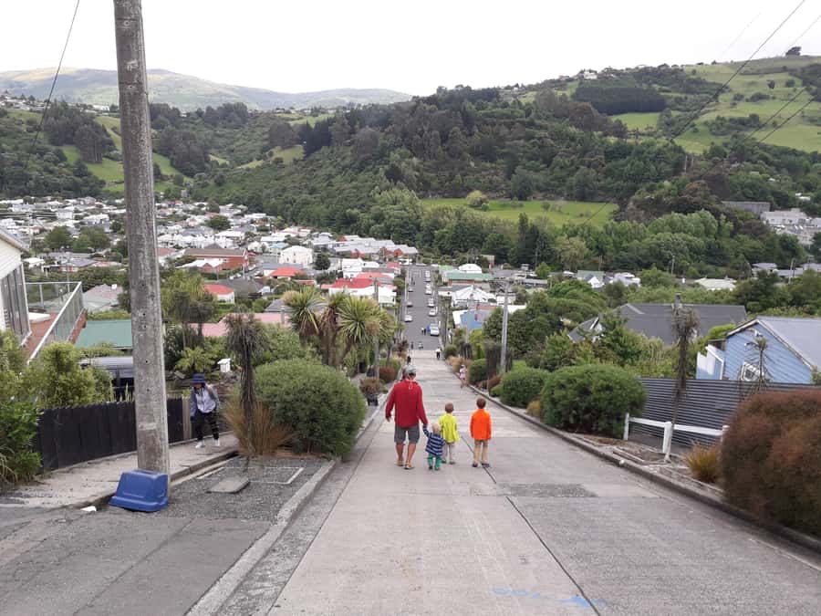 Dunedin: Small Group City Highlights Tour - The Octagon, St Paul’s Cathedral, and Robbie Burns