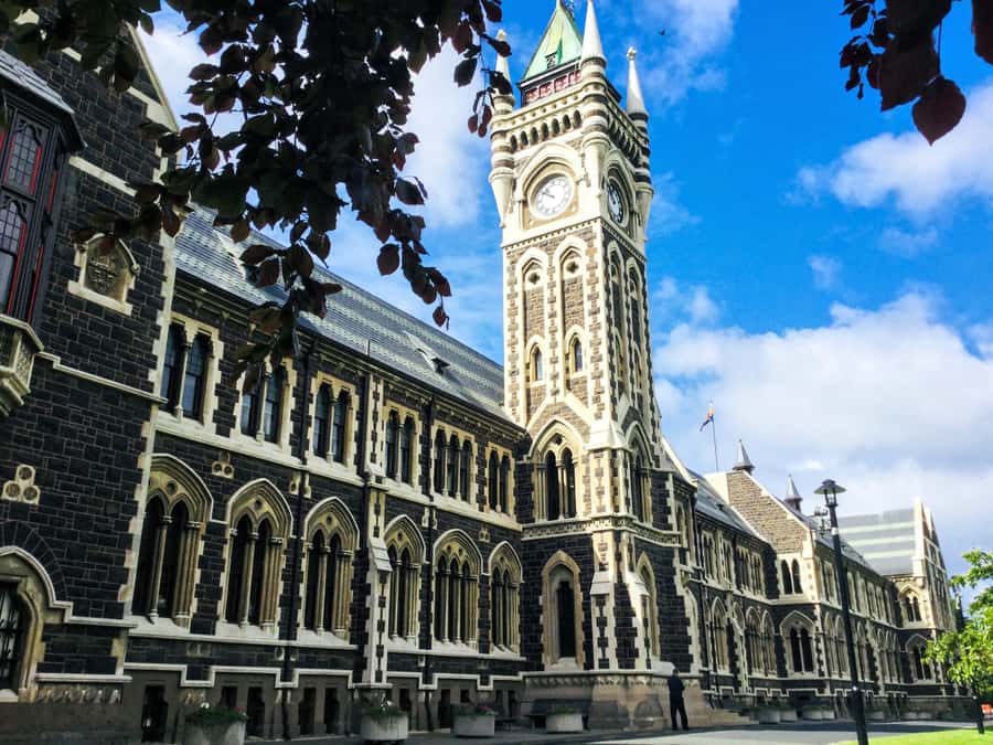 Dunedin: Small Group City Highlights Tour - A short walk through the Upper Botanic Garden