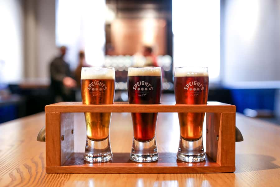 Dunedin: Speight's Brewery Guided Tour with Tasting - Is $28 good value?