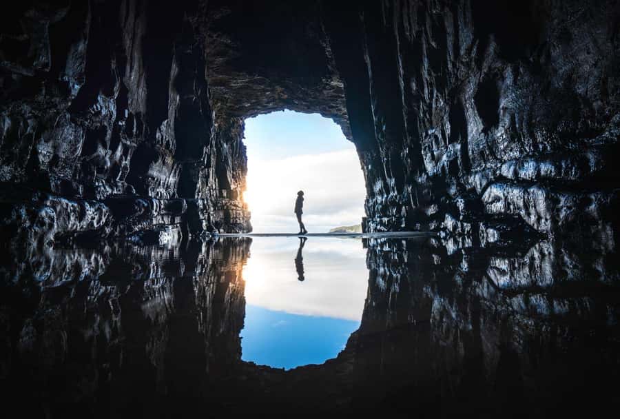 Dunedin to Te Anau via The Catlins & Invercargill 1 Way Tour - Key points to know before booking