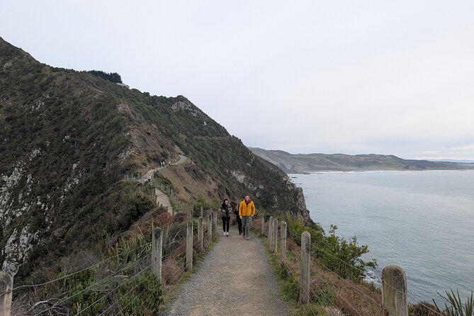 Dunedin to Te Anau via the Catlins One Way Small Group Tour - Curio Bay and a 180-million-year-old forest