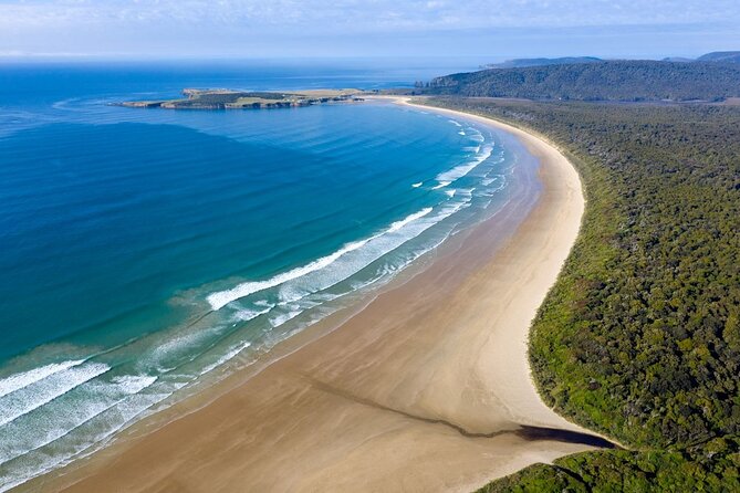 Dunedin to Te Anau via the Catlins One Way Small Group Tour - The 7:00 am start from Dunedin