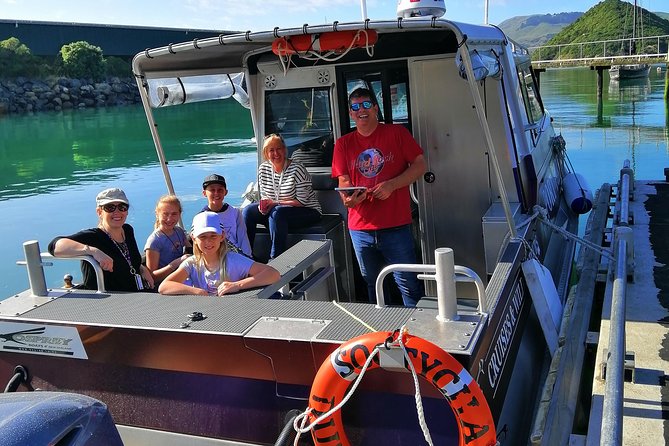 Dunedin Wildlife Cruise-Albatross, seals and harbour - A close look at Otago Harbour wildlife
