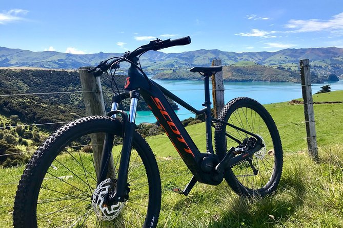 Electric Mountain Bike & Sea Kayak Tour in Akaroa - The 11:30 am to 2:30 pm sea kayak safari