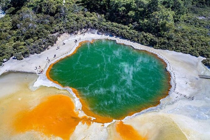 Ex Hamilton: TRIPLE DEAL Wai O Tapu, Redwood Forest & Blue Spring - Key points to know before booking