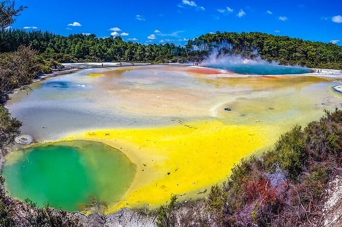 Ex Hamilton: TRIPLE DEAL Wai O Tapu, Redwood Forest & Blue Spring - Wai-O-Tapu’s boiling mud and colored pools