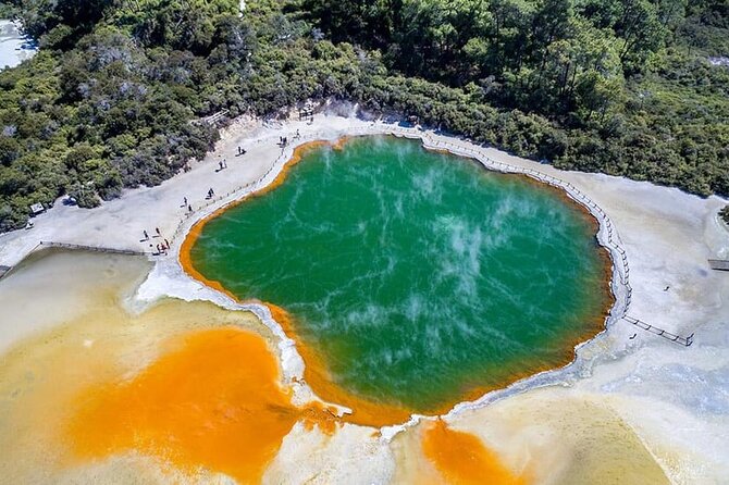 Ex Hamilton: TRIPLE DEAL Wai O Tapu, Redwood Forest & Blue Spring - Thirty minutes beneath Rotorua’s Redwoods
