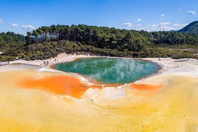 Ex Hamilton: TRIPLE DEAL Wai O Tapu, Redwood Forest & Blue Spring - Blue Spring and the clear Te Waihou water