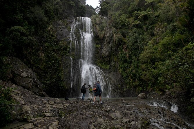 Explore BLACK SAND PIHA BEACH, and Water Falls in West Auckland - Why this west coast outing works so well