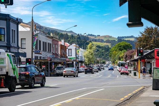 Explore Dunedin: Self-Guided Audio Tour Adventure - Starting in Dunedin’s Octagon