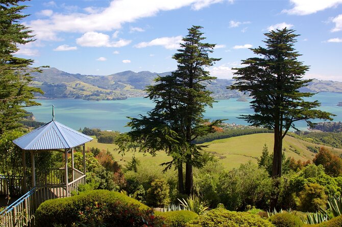 Explore Dunedin: Self-Guided Audio Tour Adventure - What the $13.99 price really buys